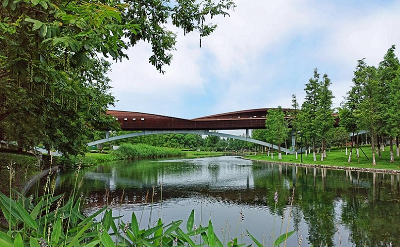 12月南京有哪些免费景点,南京市民免费旅游景点