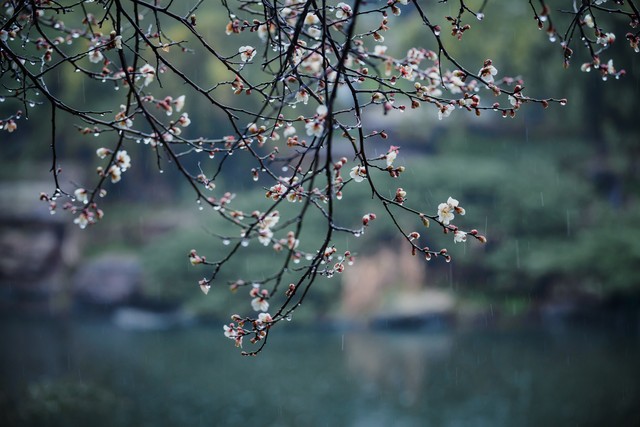 情侣之间感觉配不上对方的句子,情侣在一起有一方觉得配不上