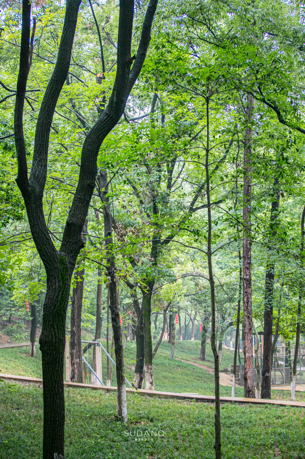 武汉哪个动物园比较适合小朋友玩,武汉值得带孩子去的动物园
