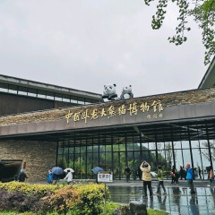 大熊猫基地怎么才能去喂大熊猫,大熊猫基地怎么去九寨沟