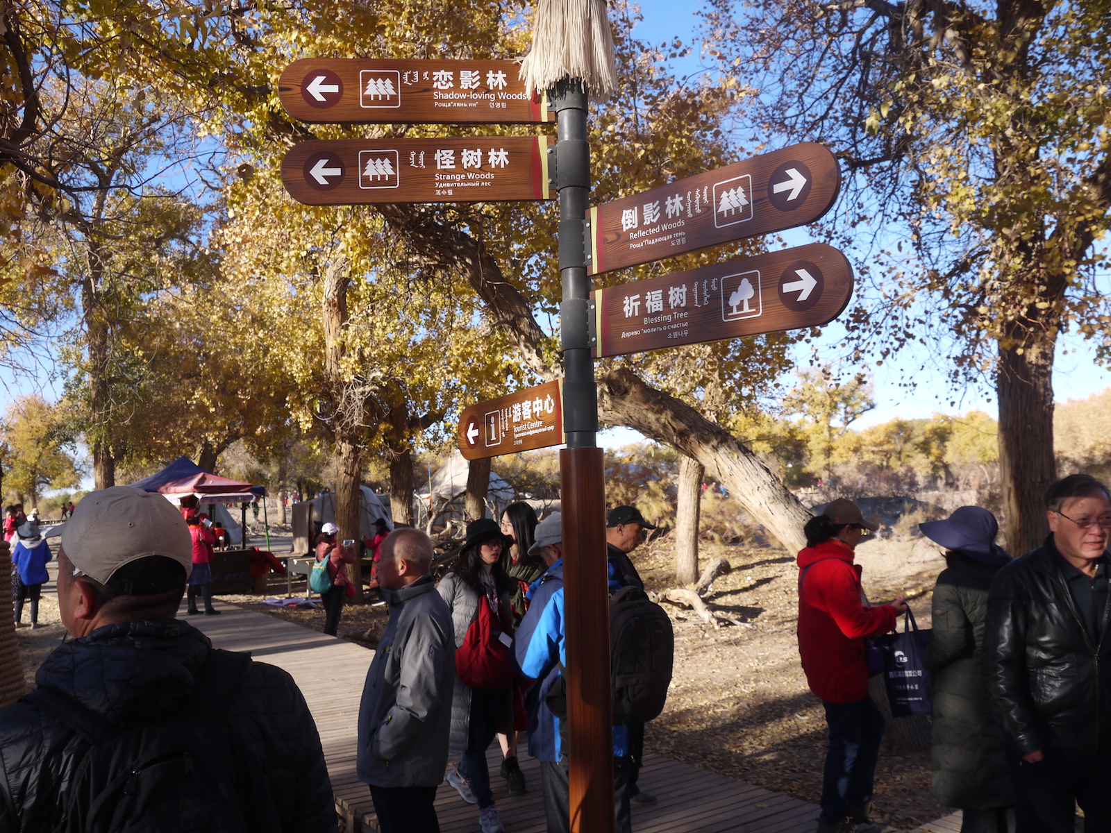 北京自驾额济纳胡杨林十天攻略,从北京到额济纳胡杨林线路