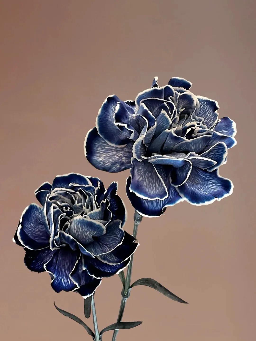 母亲节暖心文案给老婆,母亲节暖心文案