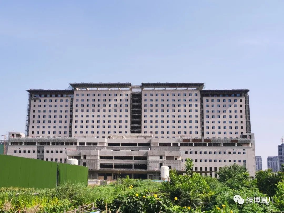 郑大三附院郑州分院,郑大三附院最新消息