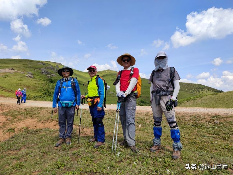 蓝天白云绿草间,蓝天白云草原绿草茵茵风景秀丽