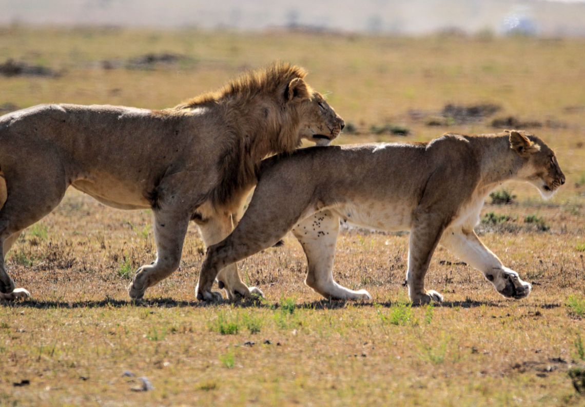 排卵期的4种感觉,排卵期的女性更漂亮吗