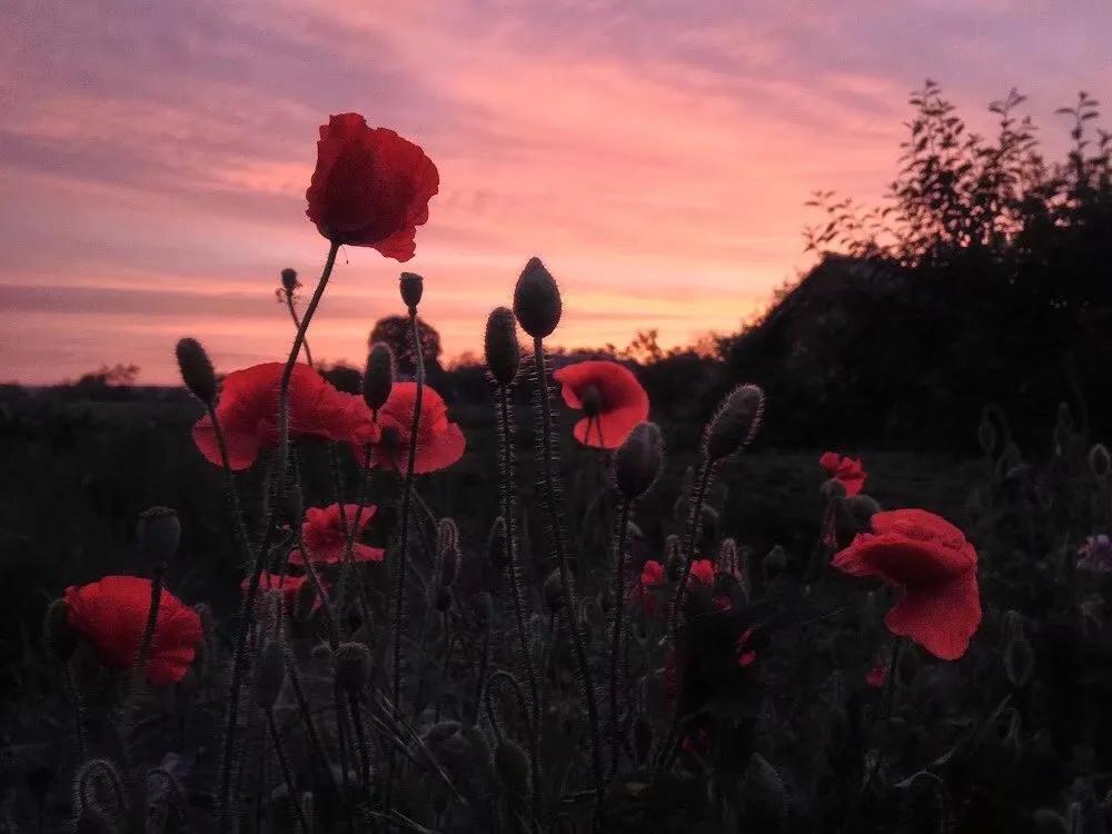晚上打扰室友休息了怎么办,室友打扰我休息