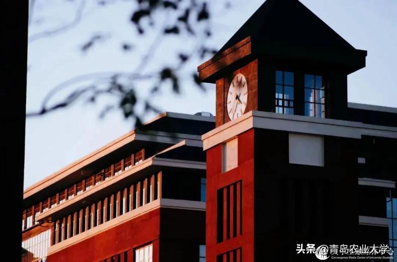 红橙黄绿青蓝紫，pick出你心中的青岛农大色彩