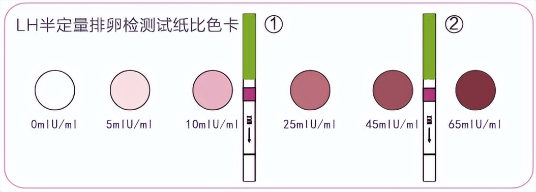 监测排卵怎么安排更容易怀孕,促排卵快速怀孕的最佳方法