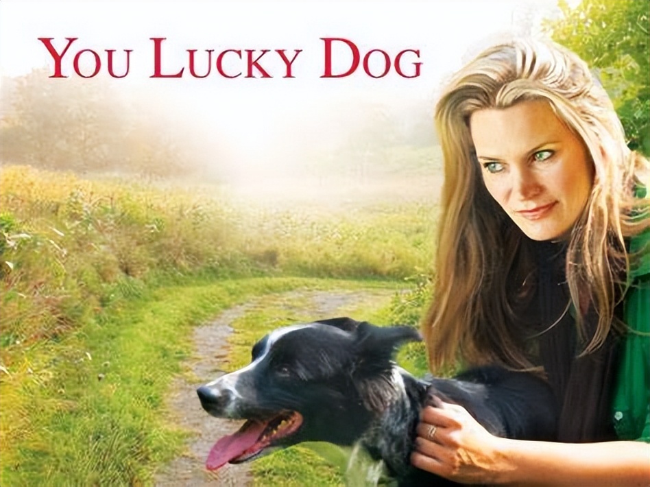 dog可以译成人吗,dog英文读音