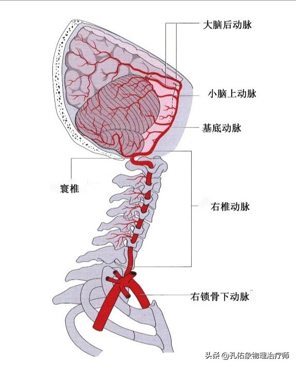 神经根颈椎病的症状和治疗方法,椎动脉颈椎病的症状和治疗方法