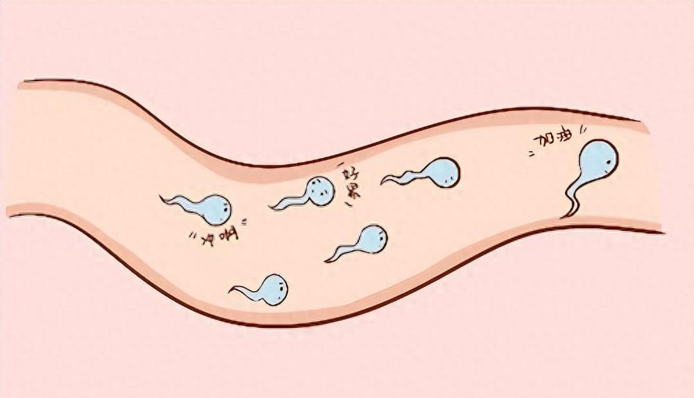 失落的小勇士们,踏上了怀孕之路