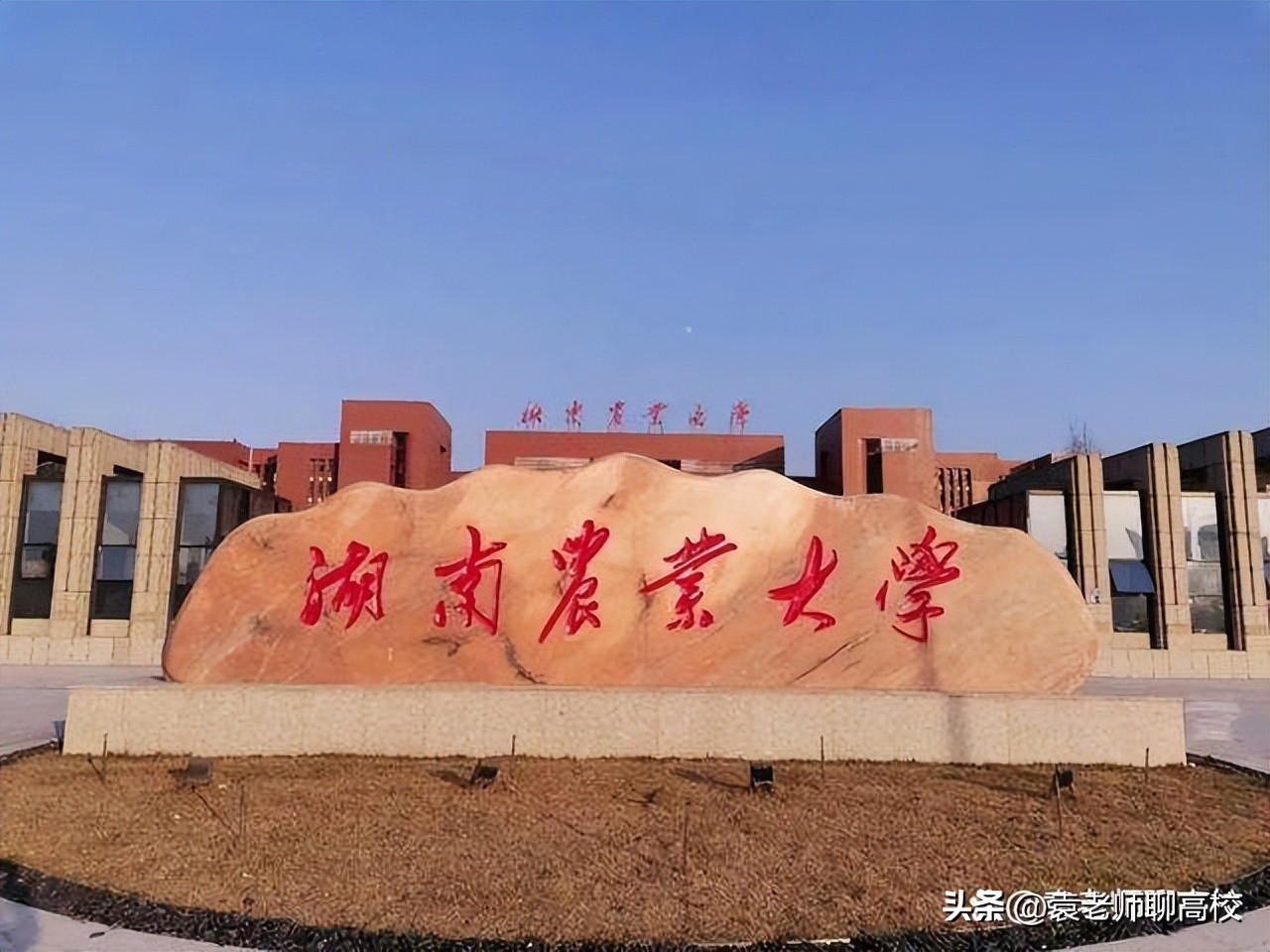 湖南农业大学和湖南农科院,湖南农业大学和湖南大学