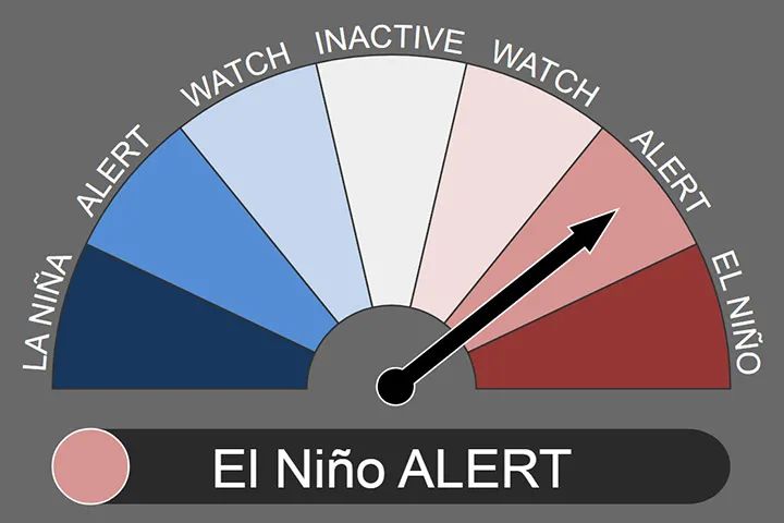 2019年羽绒行情的走势,羽绒出口