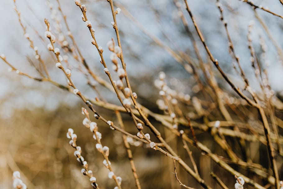 2023年是兔年也是双春年,2023年双春年为什么有些人倒霉