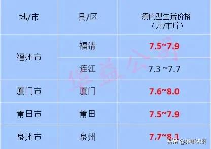 今日福建各地猪价行情走势,猪价最新快讯