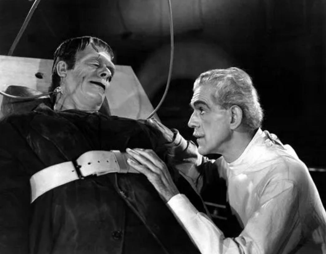 日本人动物胚胎实验长啥样,日本人动物胚胎实验