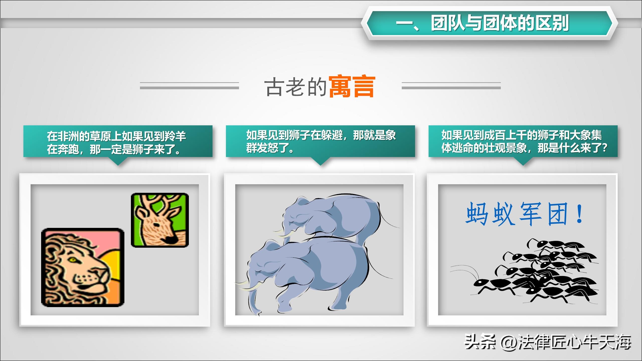 怎样打造团队协作力,怎样打造团队凝聚力