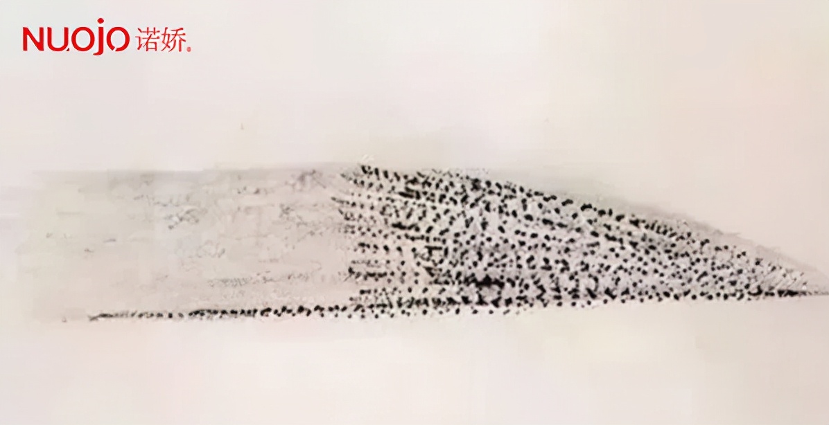 诺娇纹眉机器,诺娇纹绣机