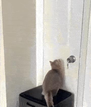 比官方版还好用的app,盘点5款好用到爆的免费app