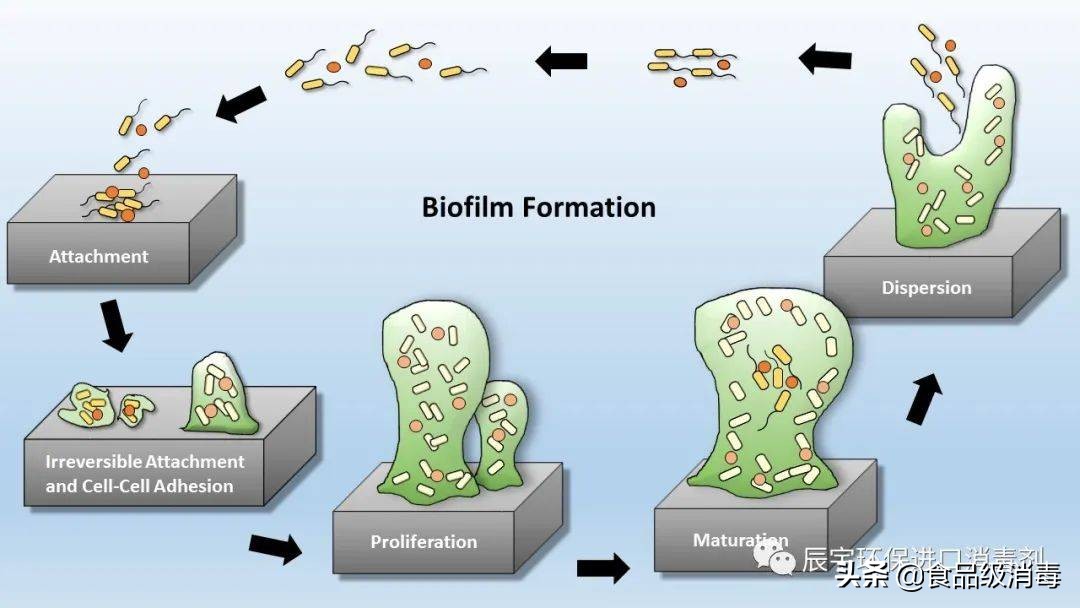 电子超纯水工艺流程,电子级超纯水