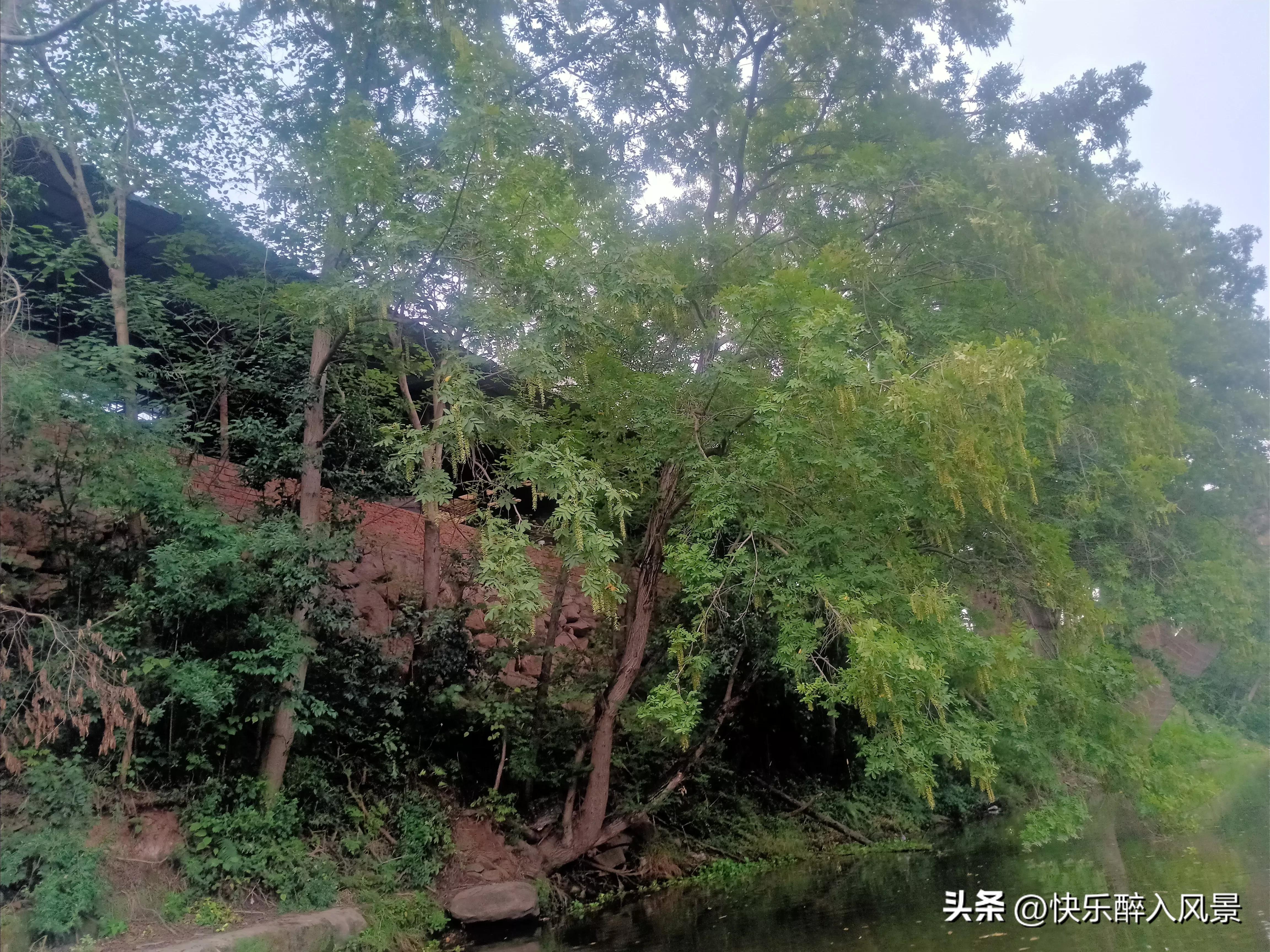 微头条怎么突破原有素材,如何找微头条热门素材