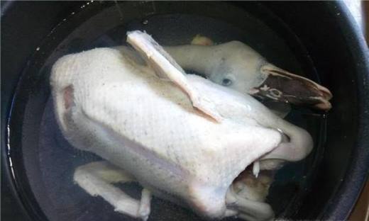 白斩鸭的做法大全家常简单,白斩鸭水煮技巧