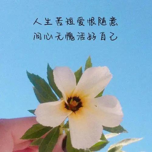 我66岁了今年找了一个51岁的老伴,我今年65