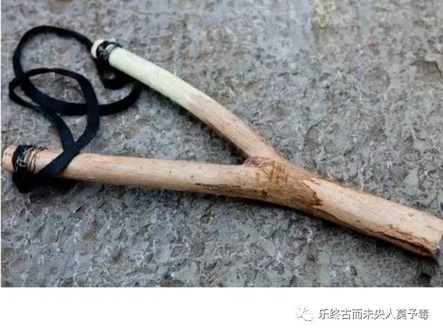 螳螂捕蝉文言文吴王欲伐荆翻译,螳螂捕蝉文言文五年级