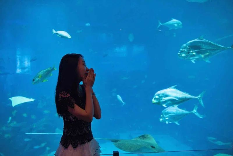 造价500万美元的海底餐厅！开一瓶5.2万美元的水晶香槟