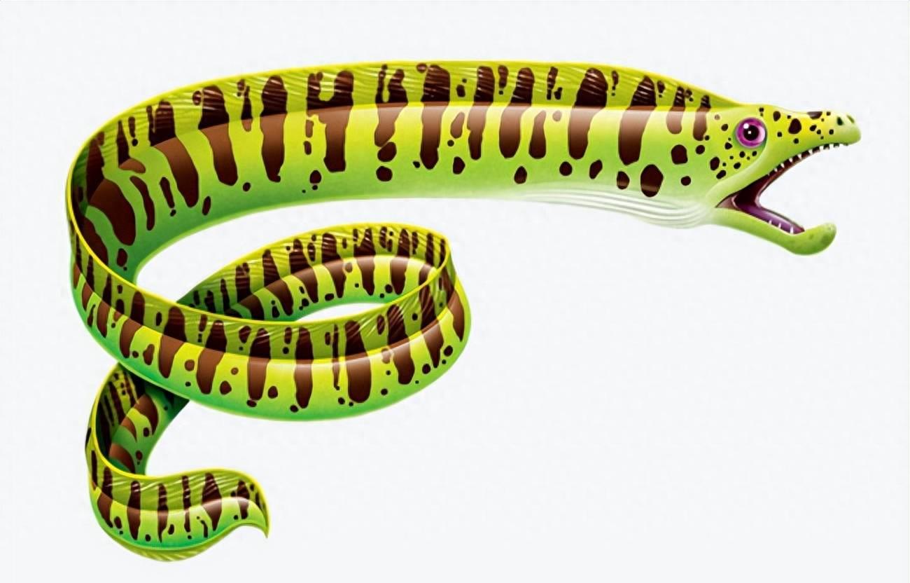 深海狩猎者的宝藏在哪,深海狩猎奥奇传说