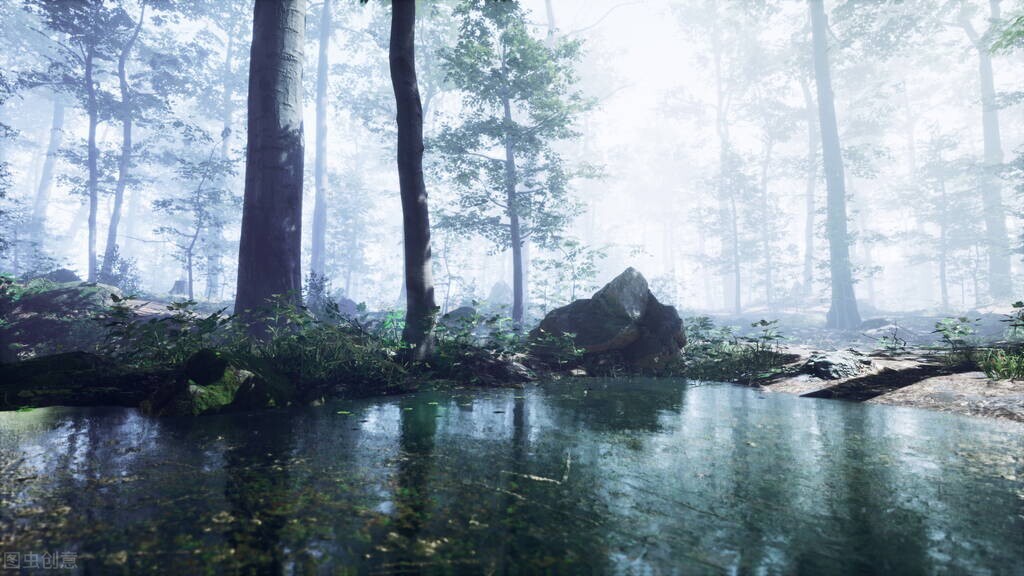 小故事、大哲理：光环下的鱼