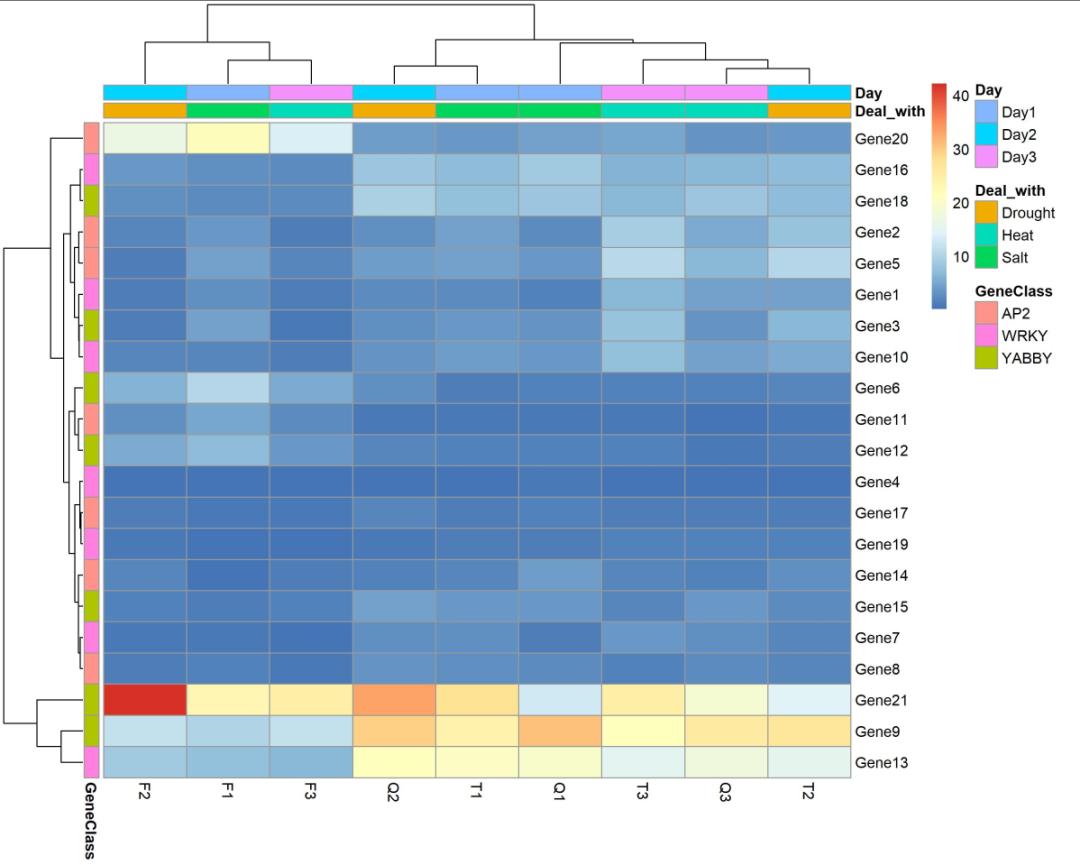 绘制热图的数据,热图用什么绘制