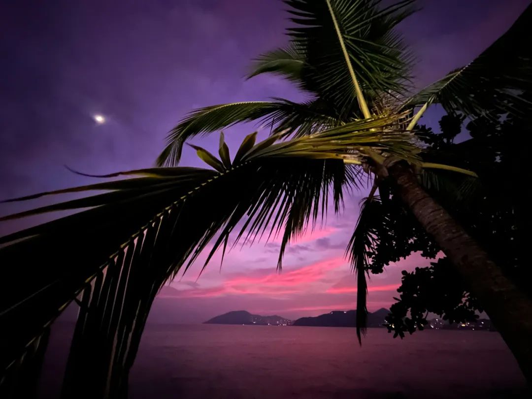 iphone14系列拍视频哪个最好,iphone14系列拍人好看吗