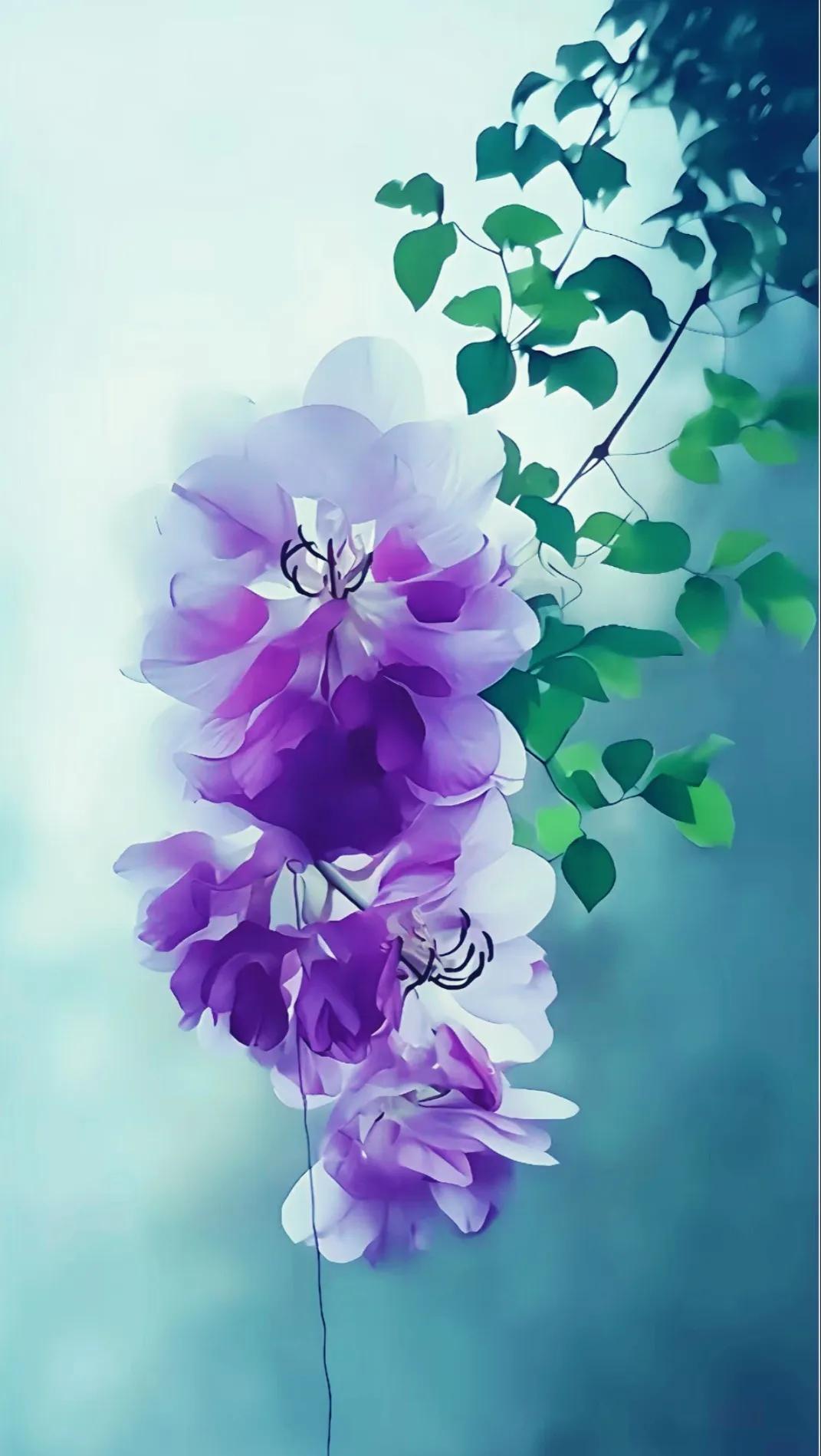 人间值得呀,人间值得歌曲