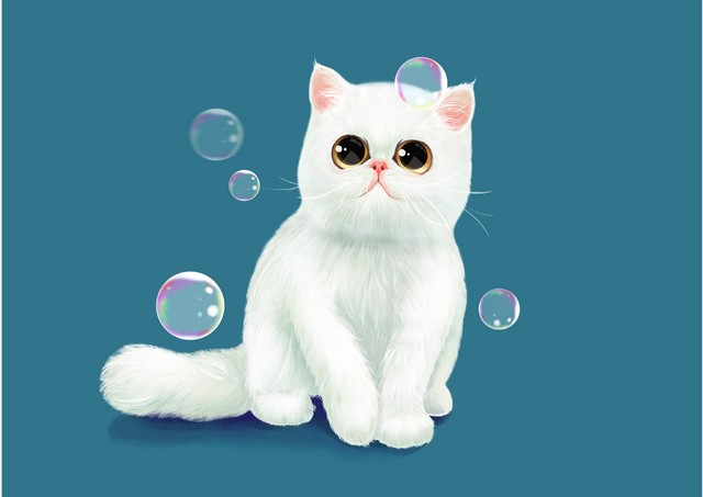 生活相册,我的极简生活全记录