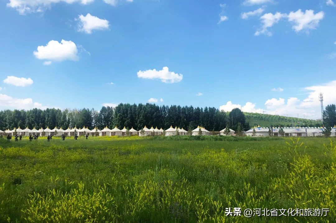 向河北,向着坝上草原出发