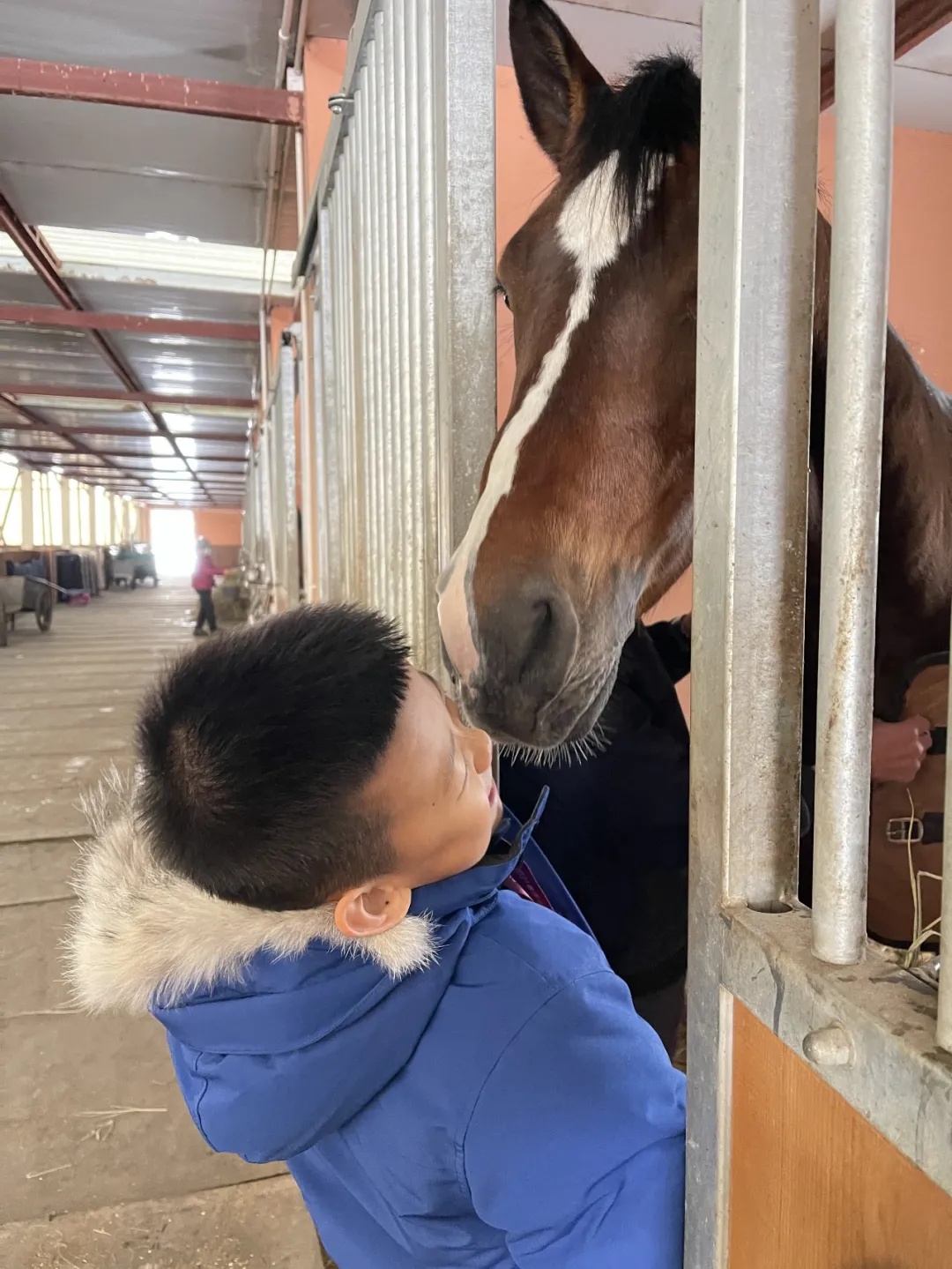 ckur马术俱乐部,ckur国际马术俱乐部18周年嘉年华