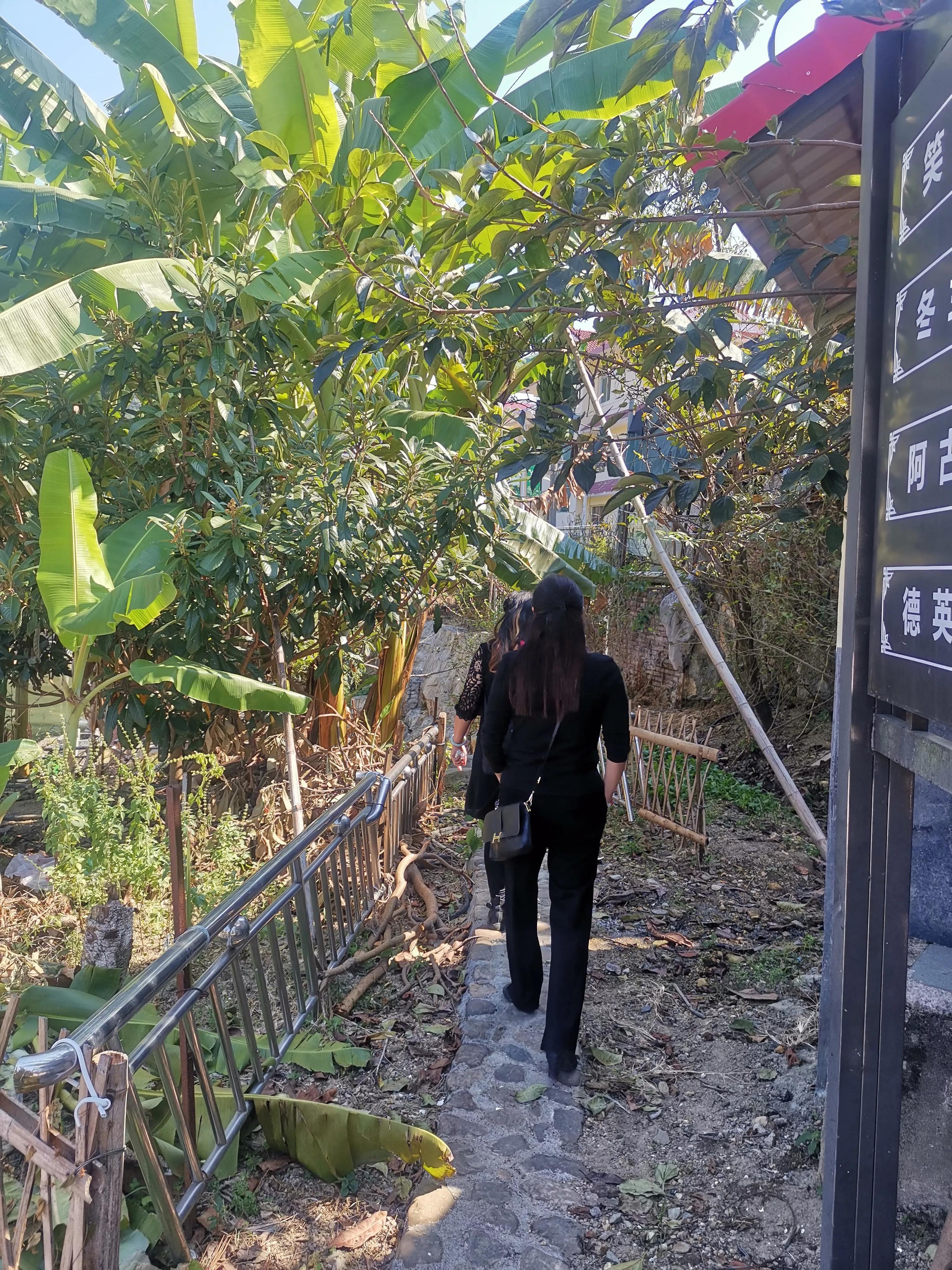 龙岩洋畲村游记,云和黄家畲村游记