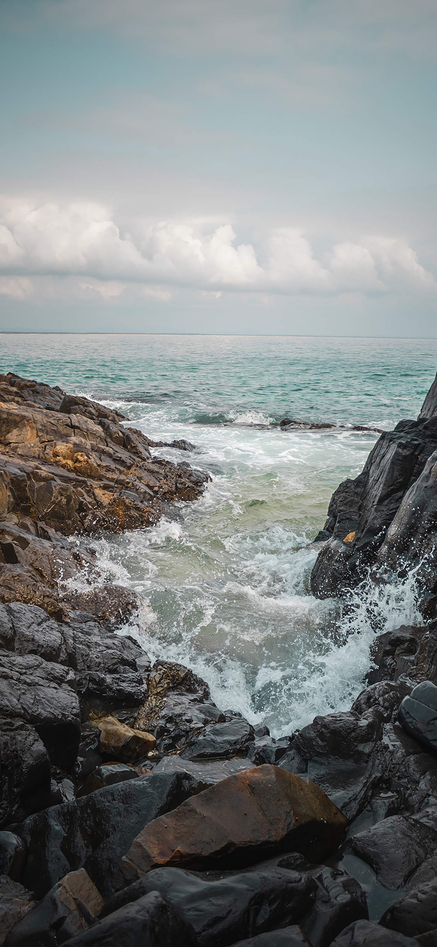 风景壁纸春,春天有百花秋有凉风冬有雪壁纸