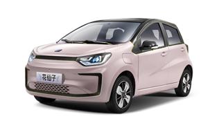 最漂亮新能源汽车标,国字头新能源汽车有哪些