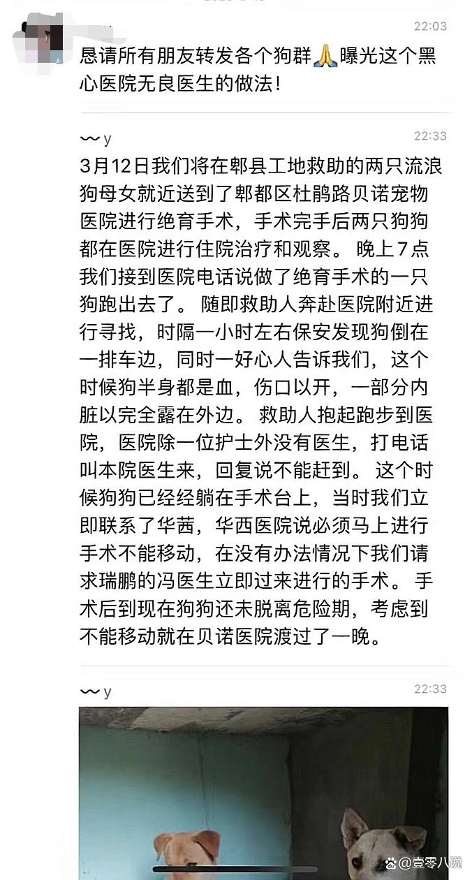 曝光成都贝诺宠物医院某院长偷藏客户财产，并多次导致宠物死亡