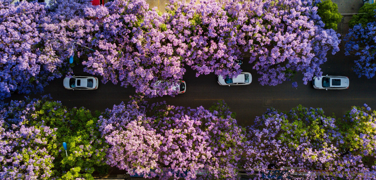 又有美食又好玩的旅游城市,这12座城为了美食也要去一趟