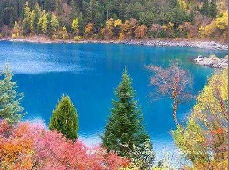 去九寨沟自己游还是跟团游好,成都出发去九寨沟旅游跟团游价格