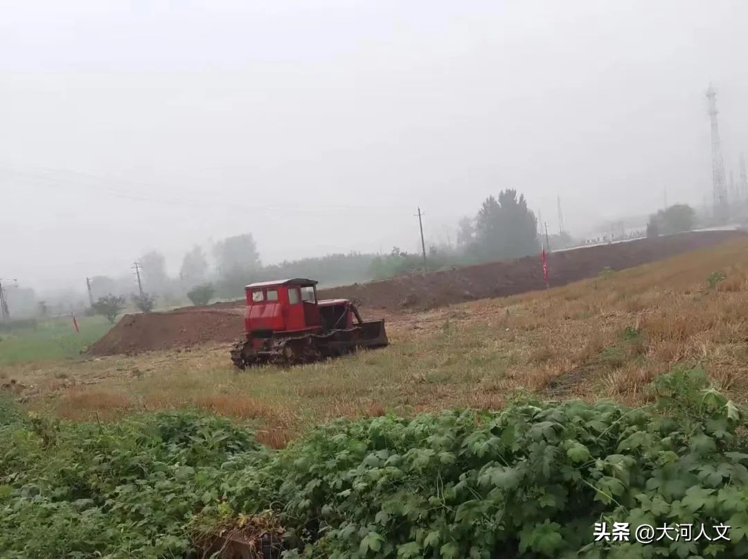 乡村蔬菜大棚产业化方案,寿光蔬菜大棚乡村振兴