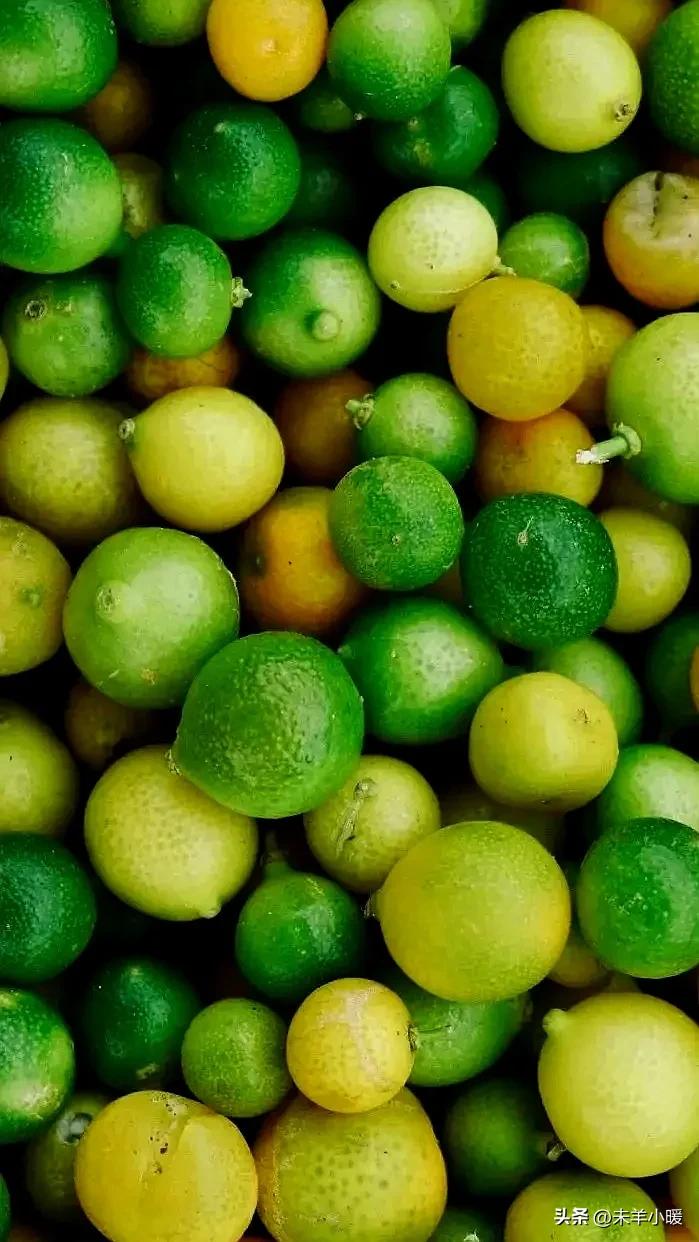 最美的手机壁纸大全,养眼养心的壁纸