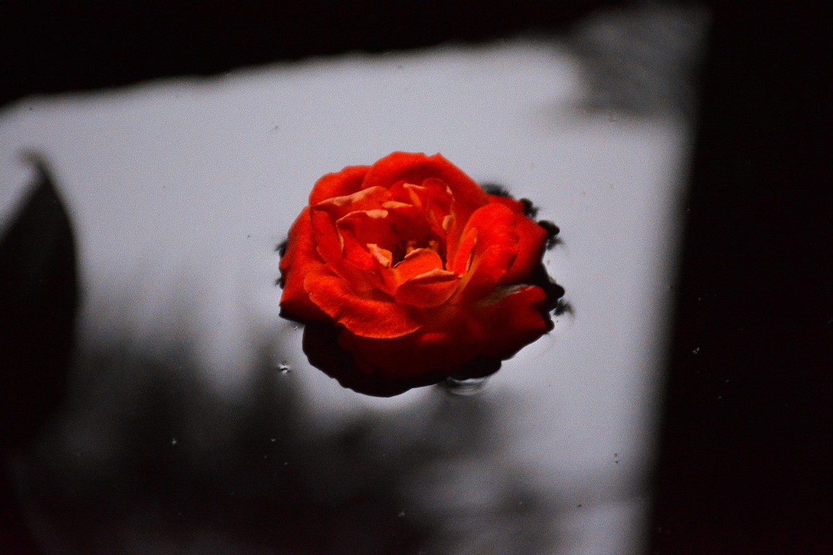 “*生活性**”的7个冷知识，到底欺骗了多少人？男女都该了解下