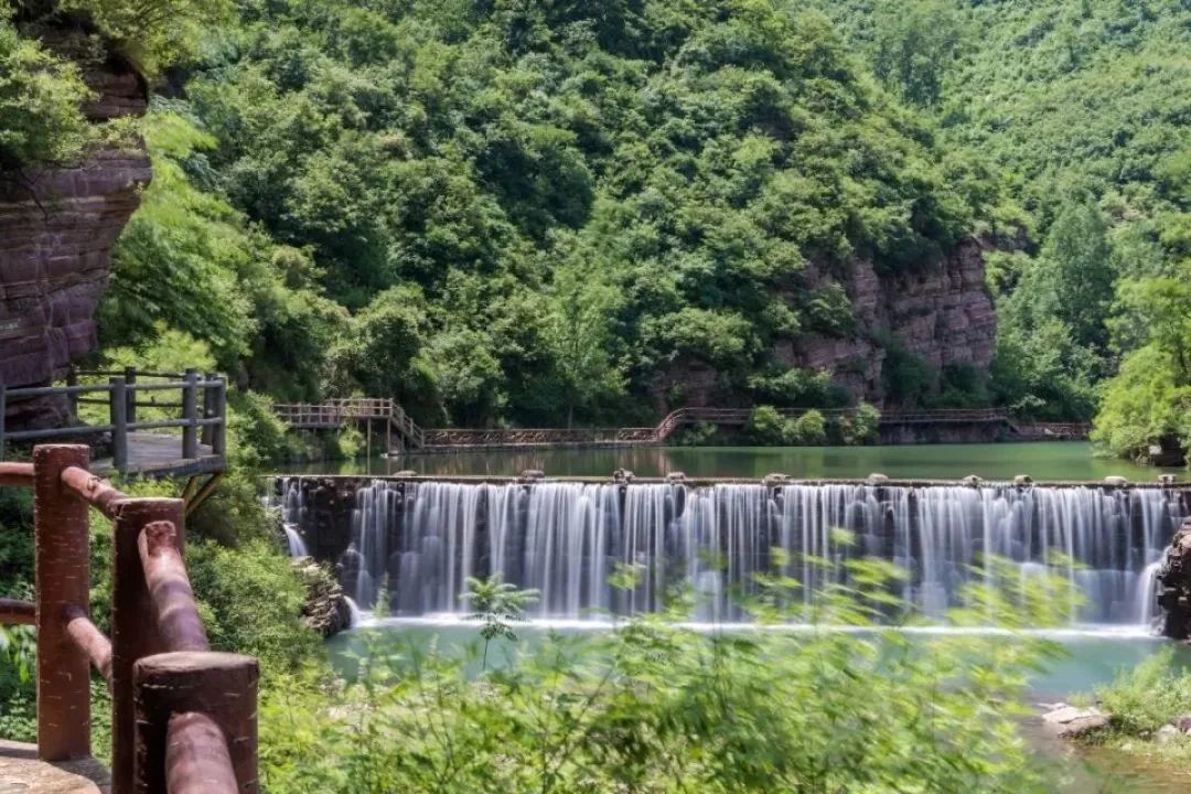 半价门票,景区免票半价