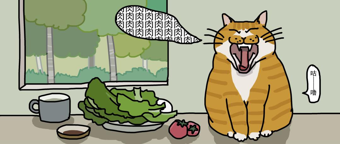 猫咪要怎么喂才是正确的答案,猫咪能每天喂猫吃不同的肉吗