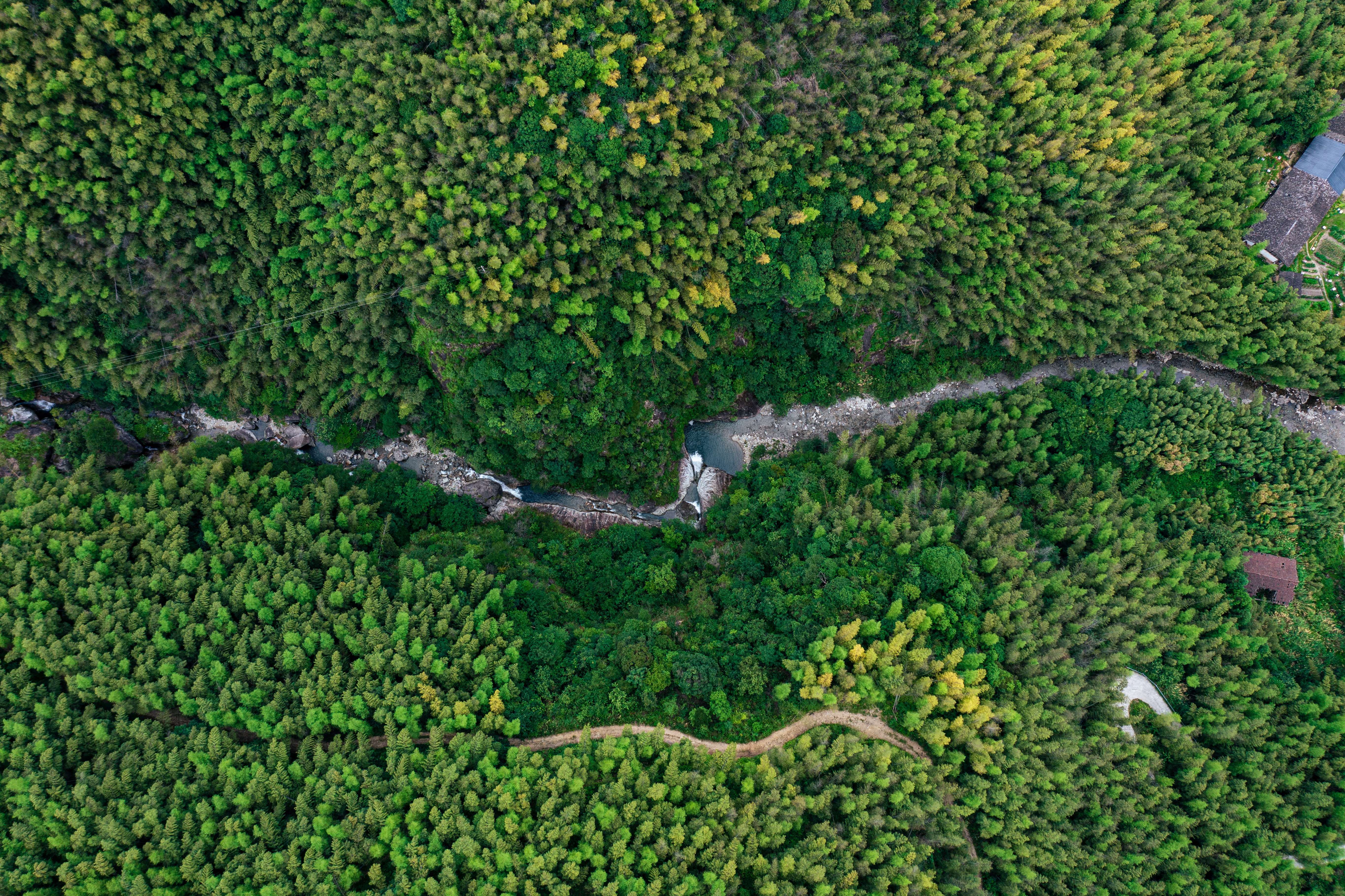 行游五府山：解密3宝，山野美味游走舌尖，传递平实的幸福
