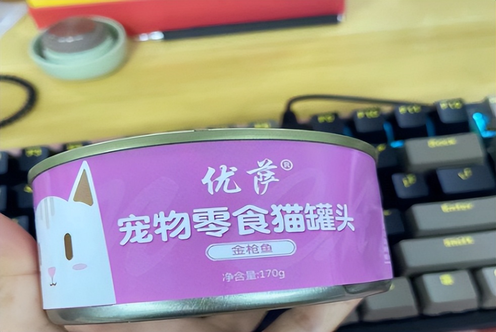 入坑猫,入坑猫咪